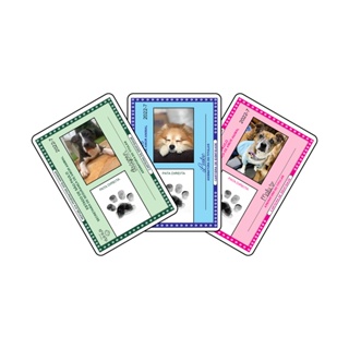 RG PET - Documento de Identidade para Cachorro Gatos e Animais de Estimação - C/Capa Plástica em Oferta na Shopee