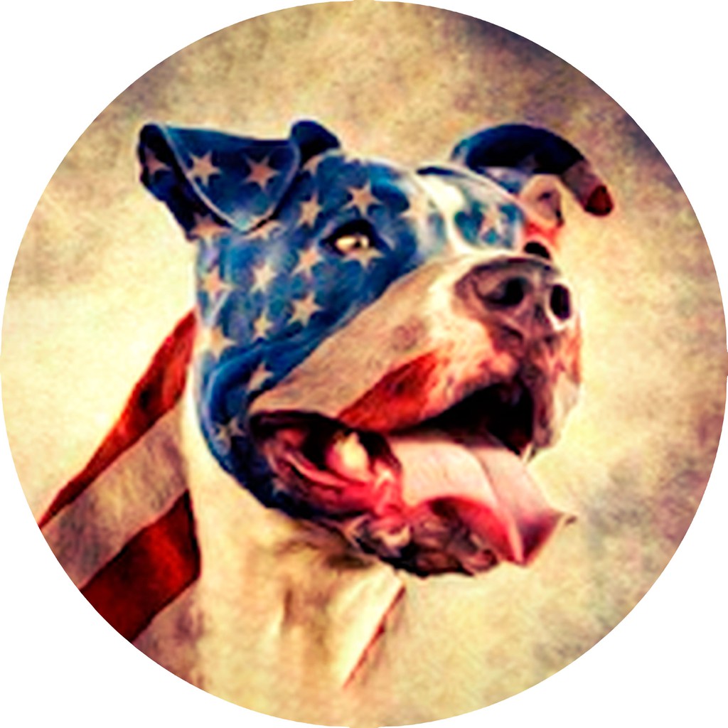 Capa de Estepe para Ecosport Crossfox American Pit Bull
