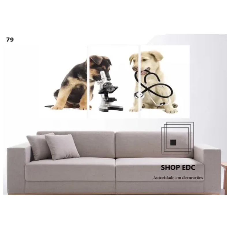 Adesivo Veterinario In Uso Per Auto, Autobus, Furgoni, Pratica, Veterinario, Veterinario, Simbolo Vet R025 (design 1