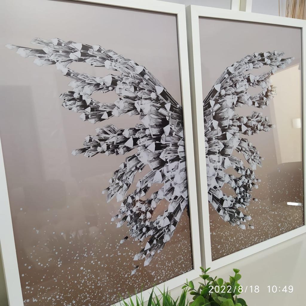 Borboleta Asas de Vidro: Onde Comprar | BuscaProdutos