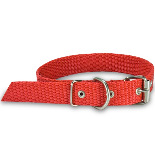 COLEIRA NYLON CADARÇO em Oferta na Shopee