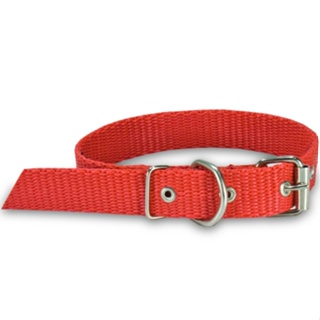 COLEIRA NYLON CADARÇO em Oferta na Shopee