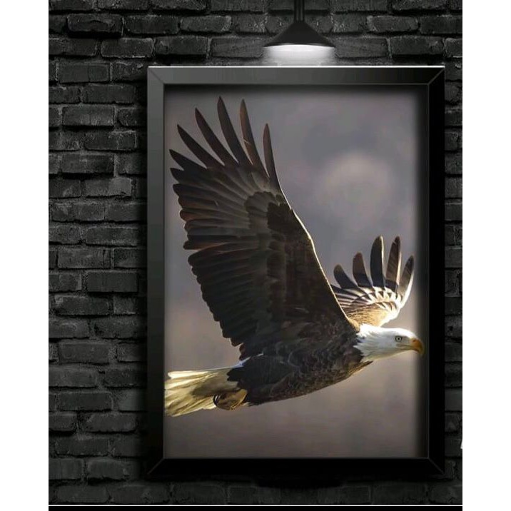 Quadro Decorativo Visão De Águia - Gavião - Aves De Rapina - Paisagem - Aves - Linda Ave Decorativa Para Sua Sala - Anim
