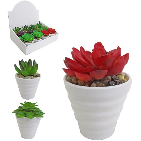 1 Planta Artificial Mini Suculenta Com Vaso Modelo Diversos