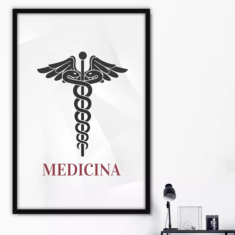 quadro decorativo profissões Medicina decoração