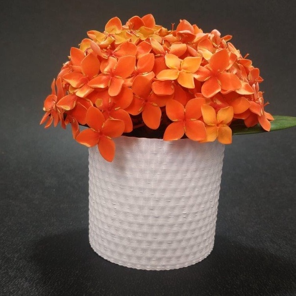 Vaso/Cachepot para suculentas e cactos - Impressão 3D