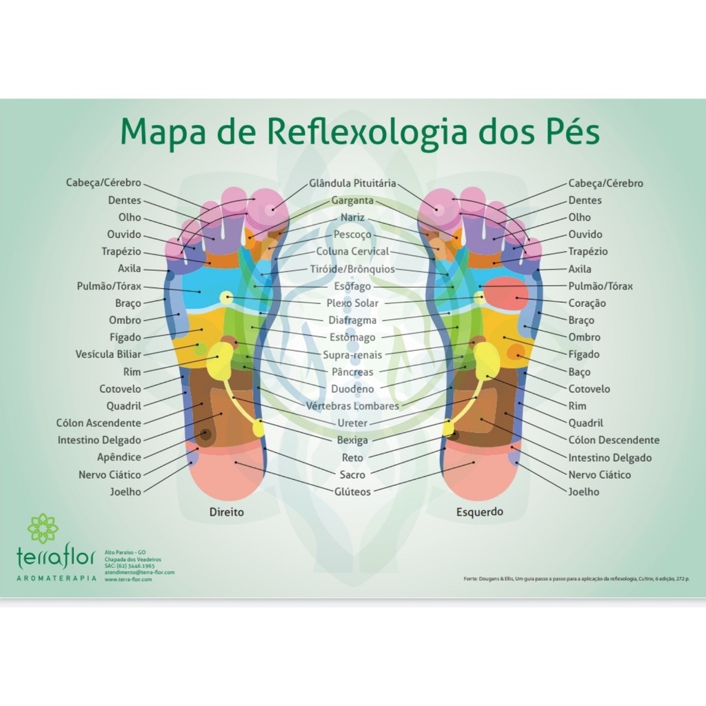 mapa de reflexologia dos pés reflexologia podal beecost