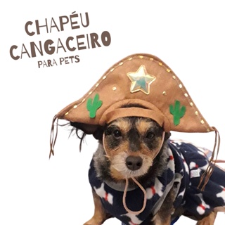 Chapéu Cangaceiro Lampião Para Pets Cachorro e Gato em Oferta na Shopee