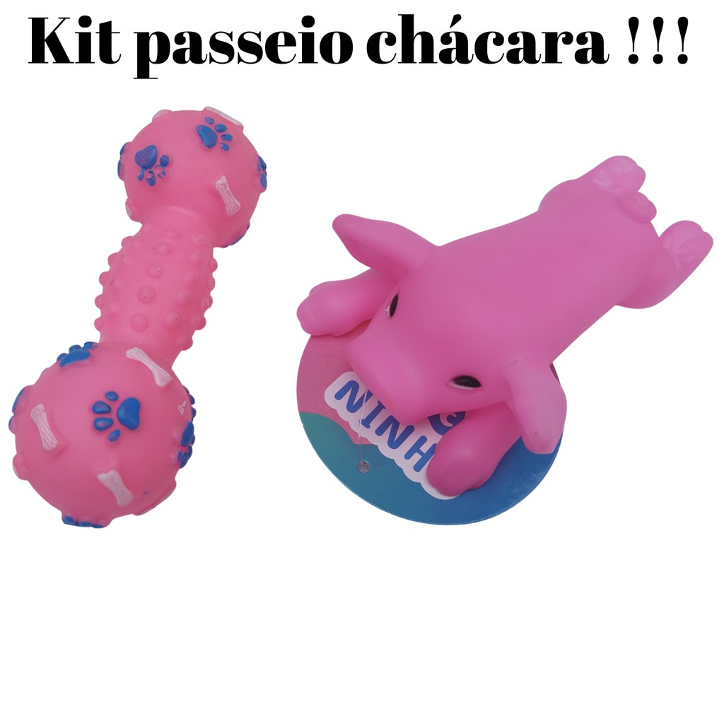 Porco De Borracha + Brinquedo Mordedor Alteres com Apito, Brinquedos para cachorros, seu animal PET