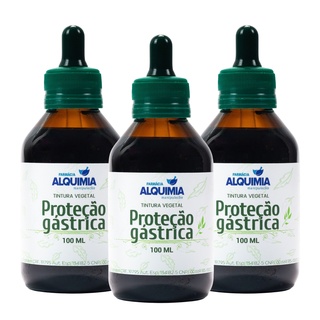 Espinheira Santa, Boldo, Hortelã e Guaçatonga 100 ML KIT 3 FRASCOS - Azia e Má Digestão - Pronta Entrega