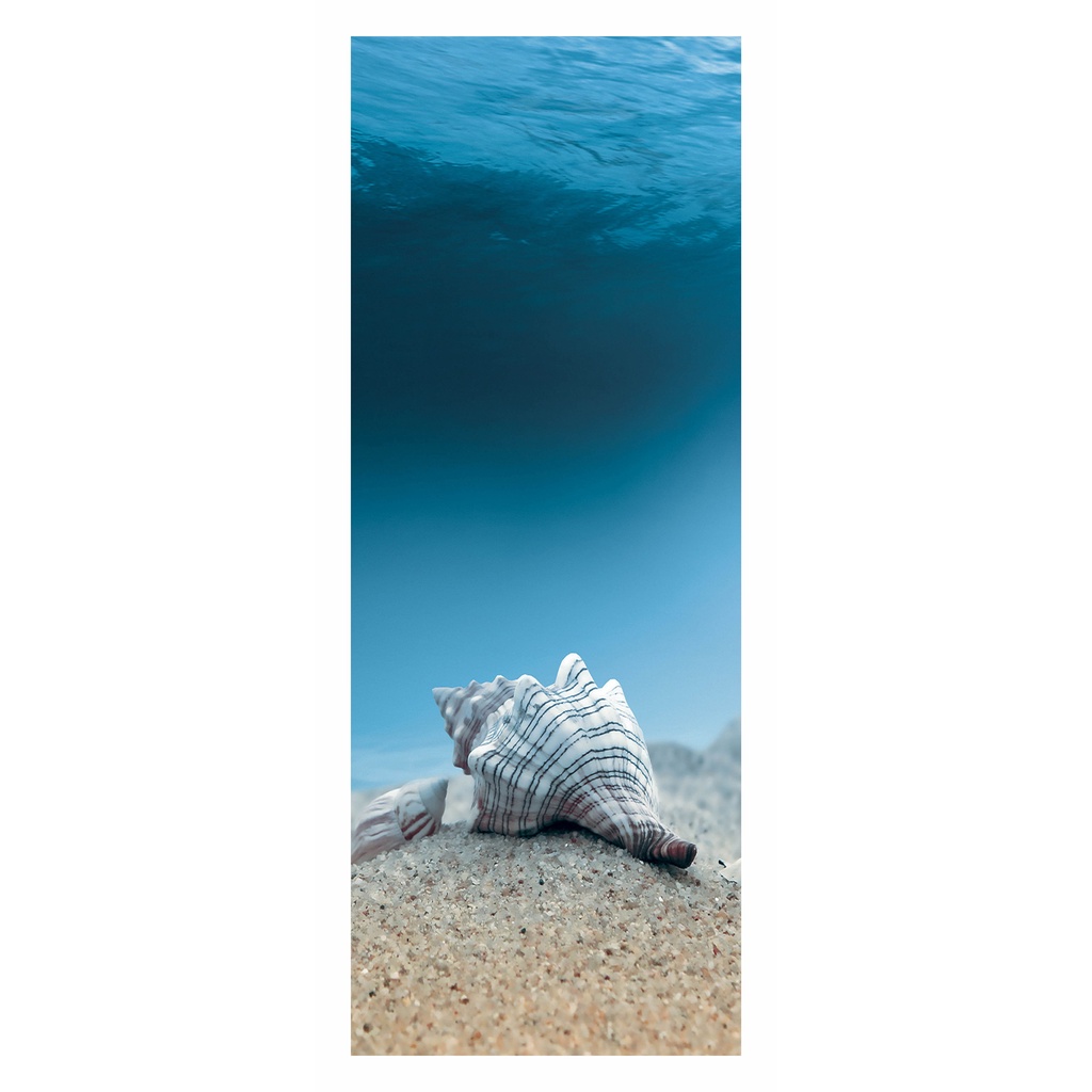 Adesivo Decorativo Para Porta Fundo Do Mar Concha Mod. 277