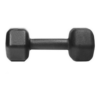 Peso Halter Pintado Para Musculacao 4kg Preto Ferro