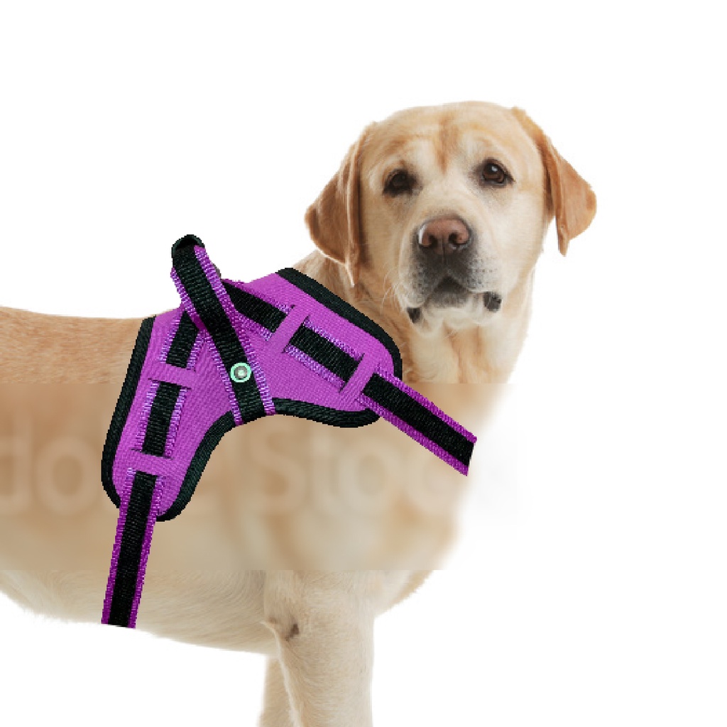 peitoral coleira pitbull pastor alemao rotwailler reforçada Oferta da fábrica