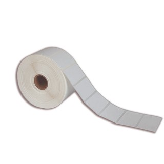 Etiqueta adesiva 50x30mm 5x3cm (1 coluna) BOPP p/ Zebra Argox Elgin - Rolo c/ 909 (30m)