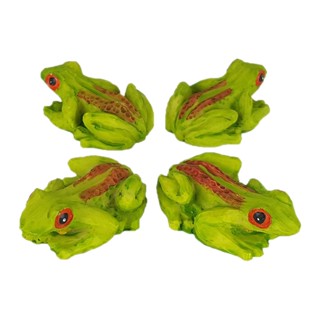 Perereca Gr Pct C/4 Pcs em Oferta na Shopee