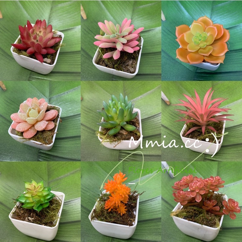01 Mini Suculenta Artificial Folhagem Vasinho Arranjo Plantinha Planta Decorativo Quadrado Branco