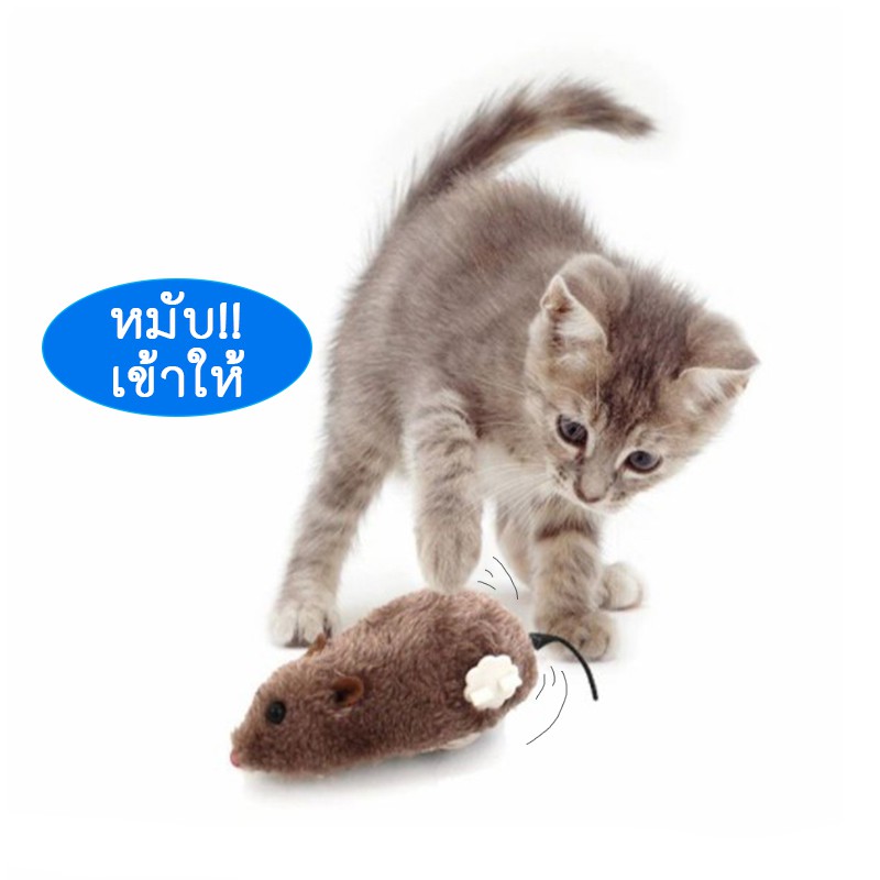 🐱 PP-035 ของเล่นแมว หนูไขลาน หนูปลอม สำหรับแมวและสุนัข 🎉 เพิ่มความสนุกให้กับสัตว์เลี้ยงของคุณ! - ภาพที่ 5