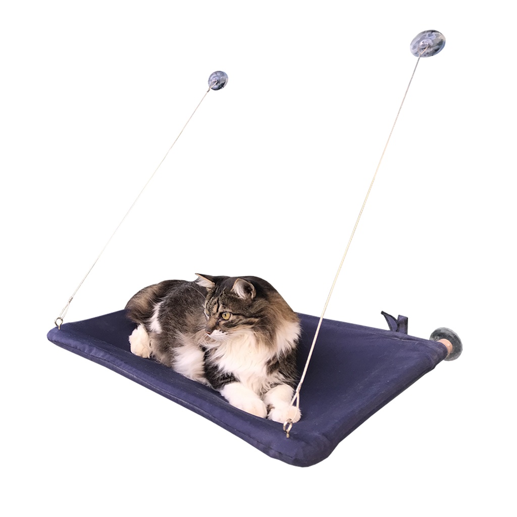 Caminha Para Gatos Suspensa Azul Rede Com Ventosas
