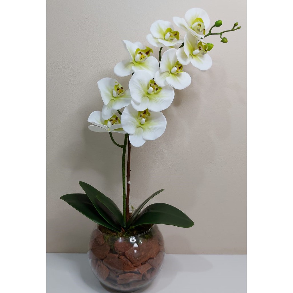 Arranjo de Orquídea de Silicone Branca mesclada com verde toque real no  vaso de vidro | Shopee Brasil