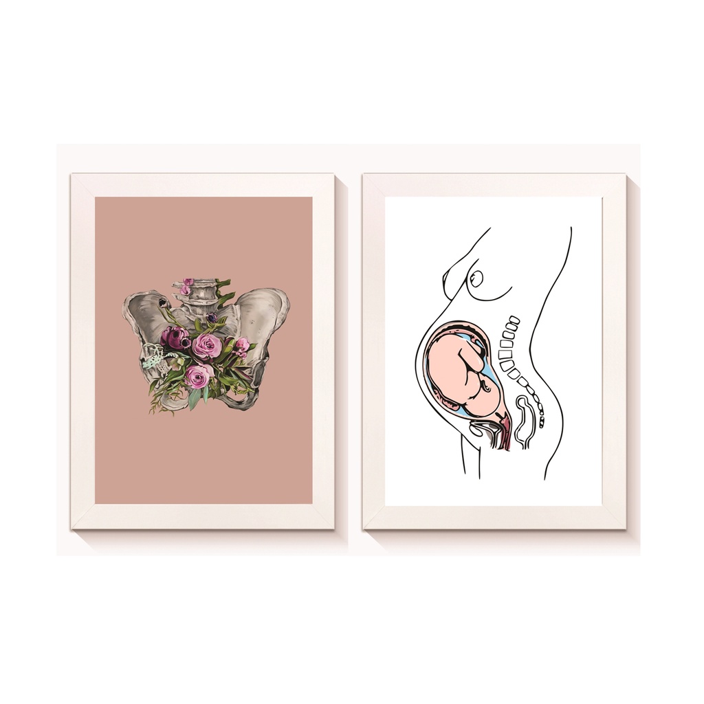 Kit 2 Quadros Decorativos Pelve Gestante Ginecologica Obstetrícia Medicina Molduras Madeira 20x30cm