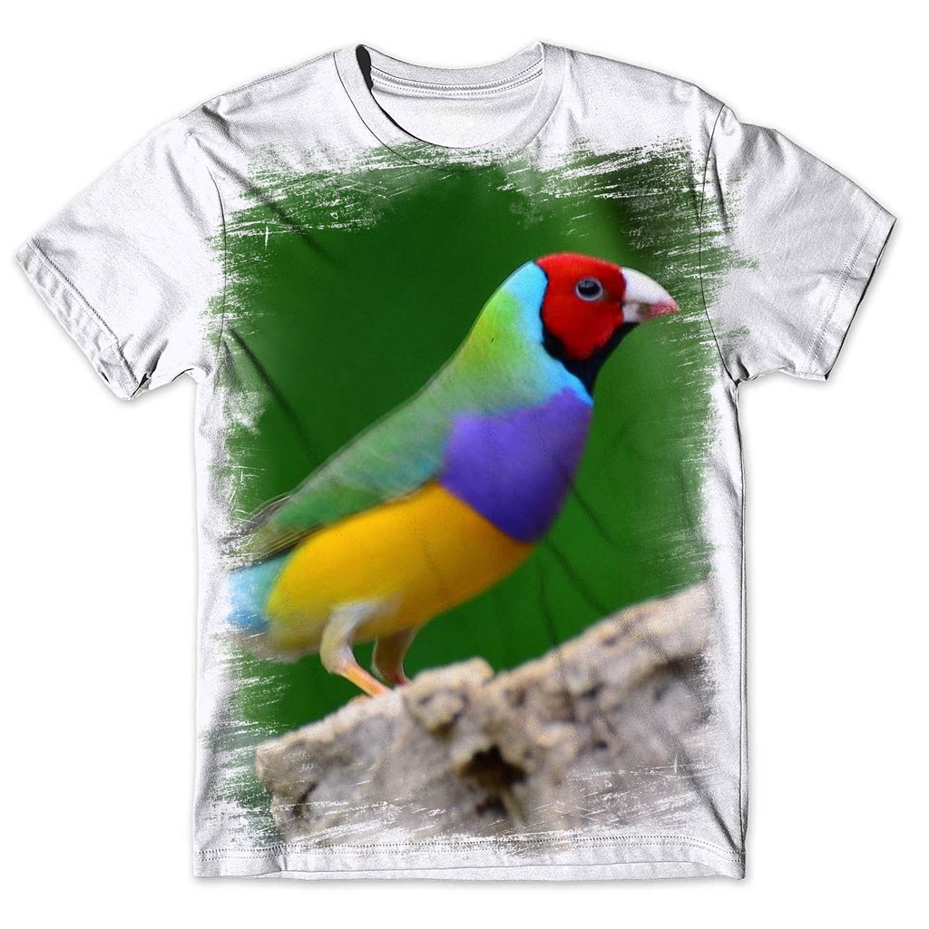 Aves Diamante Gould: Onde Comprar | BuscaProdutos