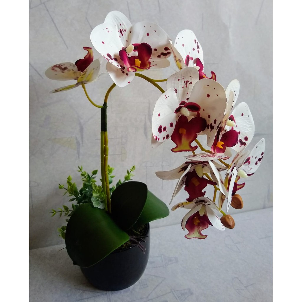 Um Arranjo De Orquídea Branca/roxa No Vaso Redondo Preto | Shopee Brasil