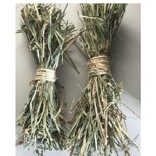 Brinquedo de Feno Premium Calopsita, Agapornis, Hamster, Coelho, Porquinho da Índia, Roedores, Aves em Oferta na Shopee