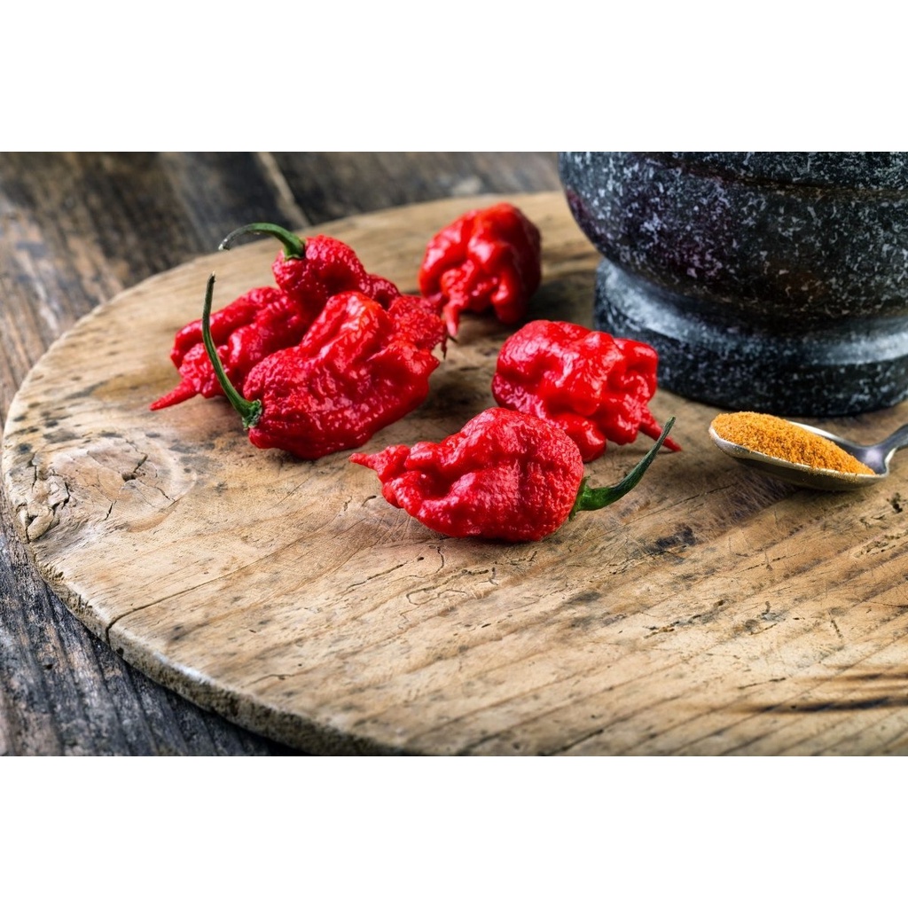 Pimenta Carolina Reaper no Azeite Legitima Pote 100ml - Fogo Mineiro