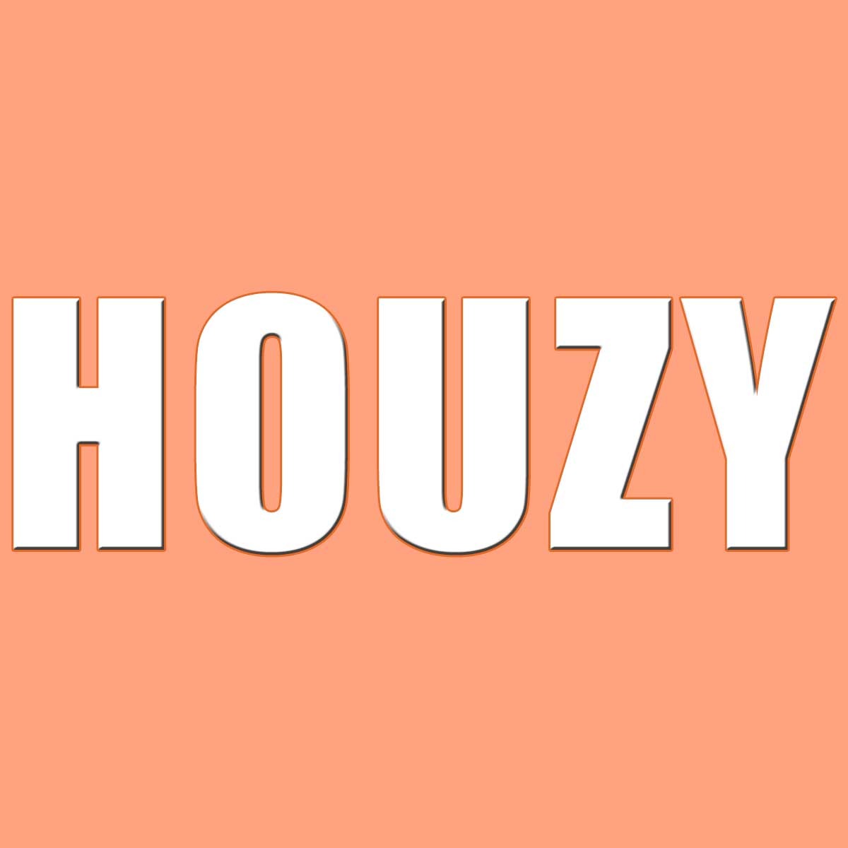 houzy_oficial