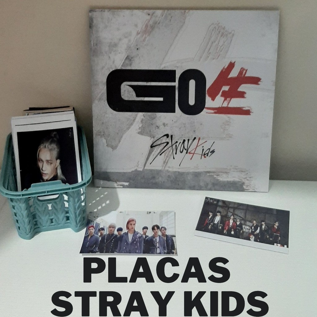 stray-kids-placa-decorativa-quadro-stray-kids-photocard-ou-polaroid