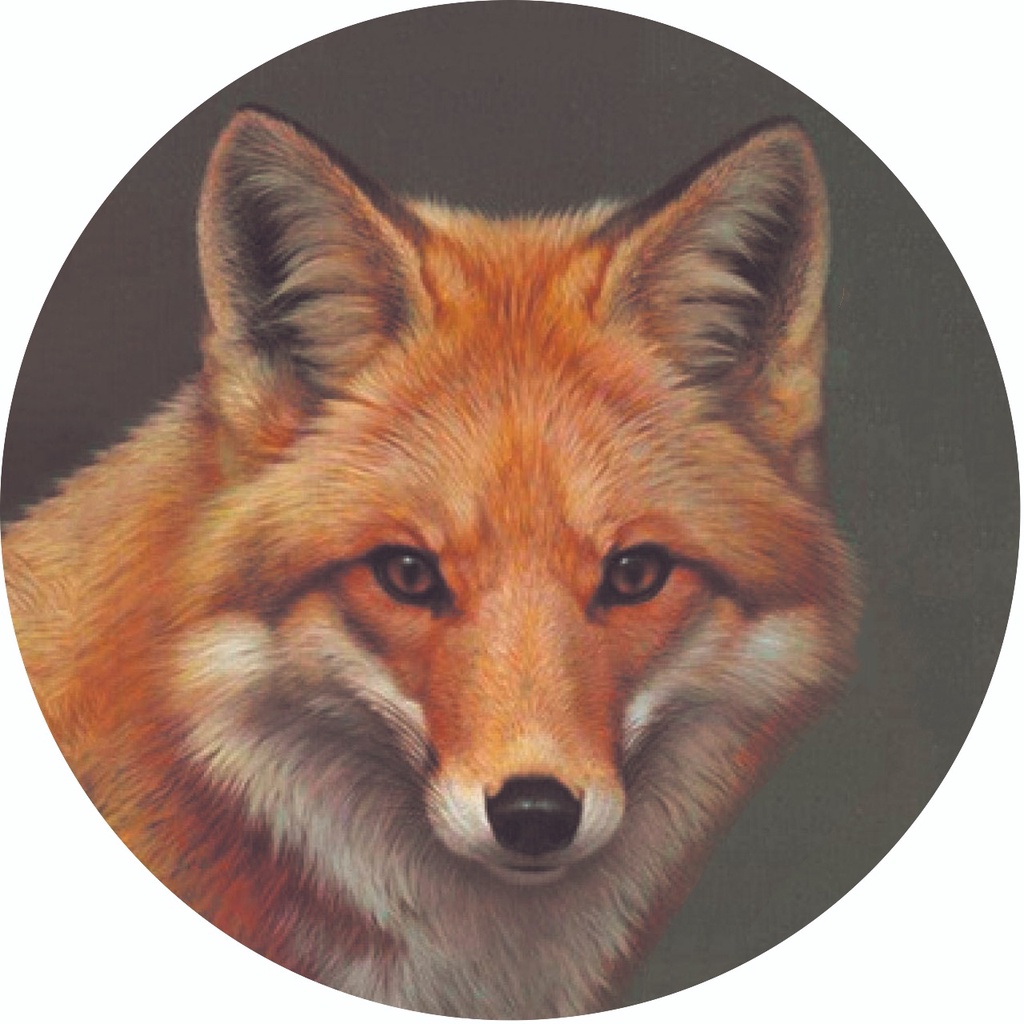 Capa de Estepe Pneu Especial para Crossfox Fox Raposa CN873 Lorben