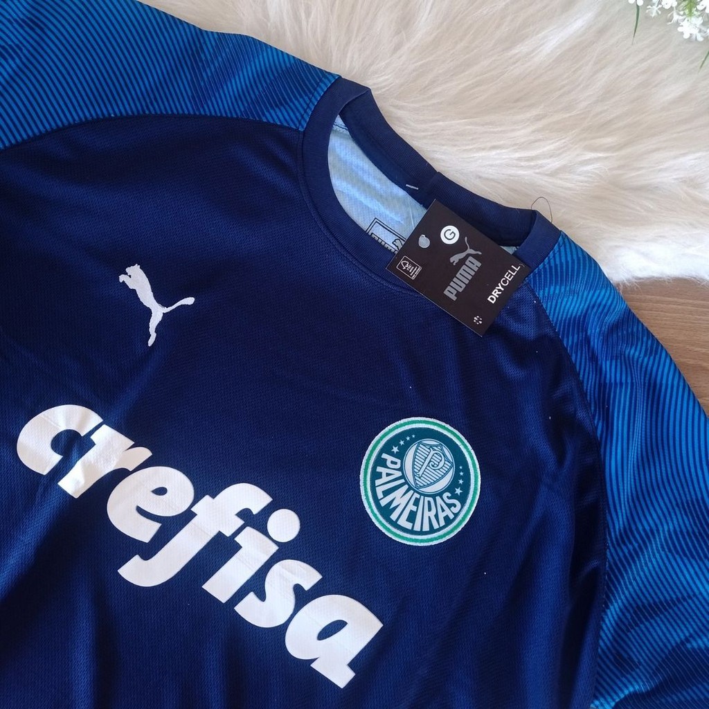 Camisa Palmeiras Treino 20/21 Puma Masculina