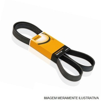 Correia Ar Condic. Focus Ecosport Duratec 2.0 16v 5pk0705