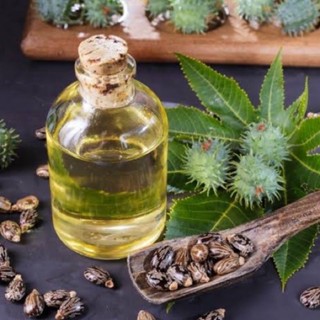 Óleo Vegetal Rícino (Mamona - Prensado à Frio ) em Oferta na Shopee