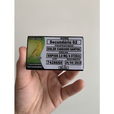 Placa identificação personalizada para gaiola de pássaros todas espécies trinca, coleiro, coleiro baiano