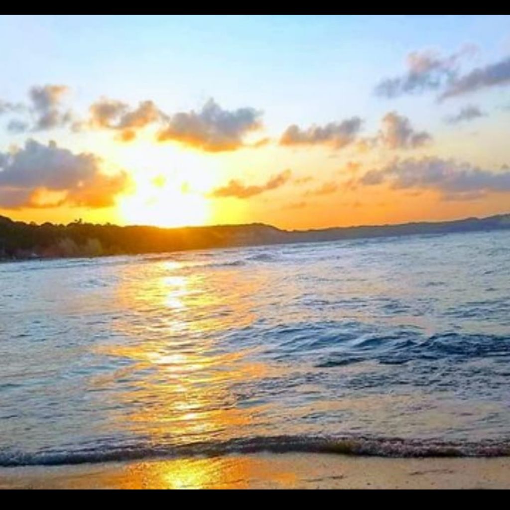 BONANZA DISTRIBUIDORA