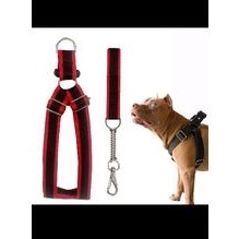 Peitoral pit Bull de fita e guia com mola.