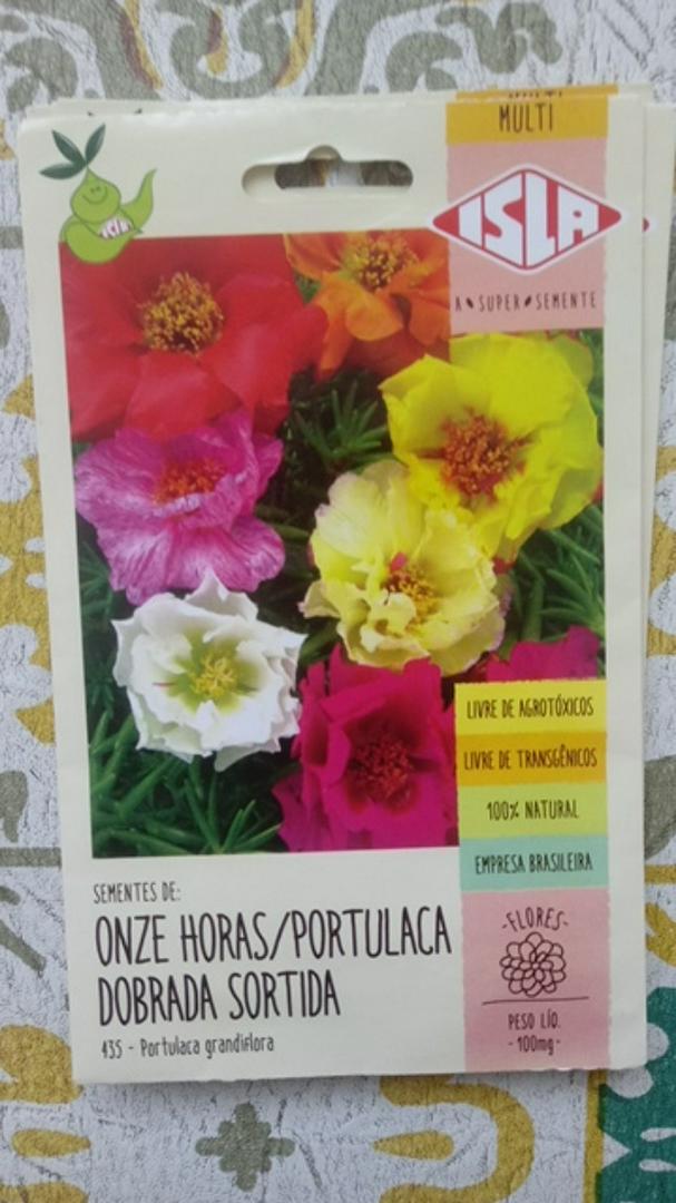 3 Envelopes de Sementes de Onze Horas Portulaca Dobrada Sortida - 830  sementes cada | Shopee Brasil