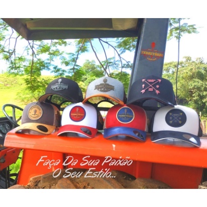 Bonés Trucker Country Unissex Telinha Agro Masculino Feminino Cowboy Agro Farm