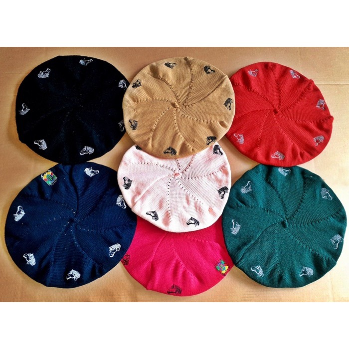 Boina Campeira: Guia Completo e Onde Comprar | BuscaProdutos