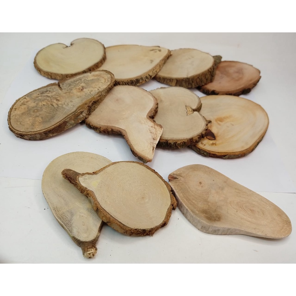 Kit 8 Bolacha Irregular P/ Decoração Tronco Madeira Rústica