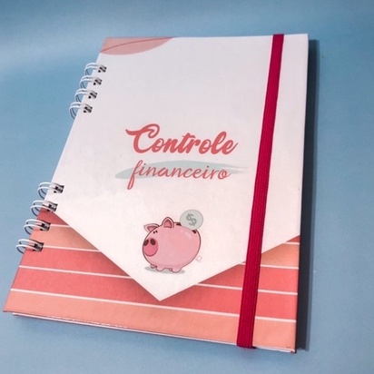 Planner financeiro - Organizador financeiro - Controle financeiro - caderno