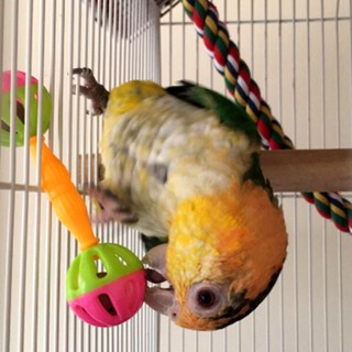 Pet 2 Pçs Chocalho De Aves Divertidos Para Papagaio / Pássaros / Brinquedos Para Animais De Estimação