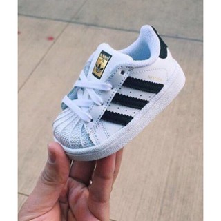 tenis adidas superstar para bebe