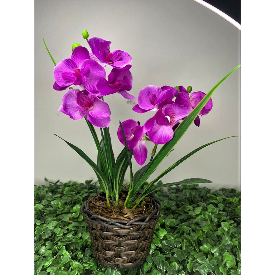 Arranjo De Mini Orquídea Artificial Casa Decoração Vaso com Flor -  Escorrega o Preço