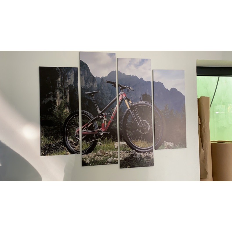 quadro decorativo bike bicicleta donwhill montain bike trek (fotos reais do produto)