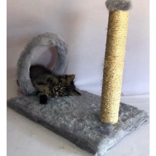 Arranhador para gatos Arco e Poste com bola pelúcia pet gato
