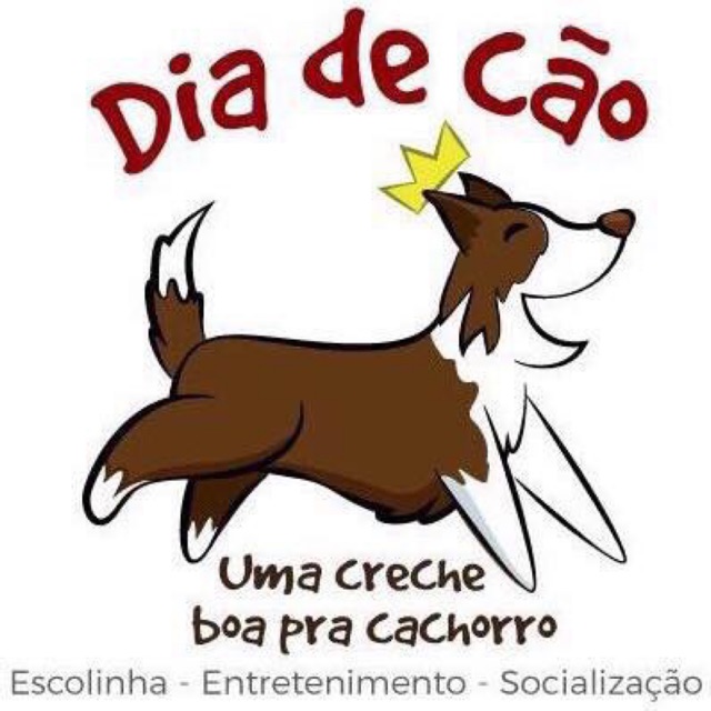 Loja Dia de Cão e Gato - Leme,SP
