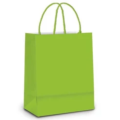 Sacola de Papel Médio Verde - 10 unidades - Cromus - Rizzo Distribuidora