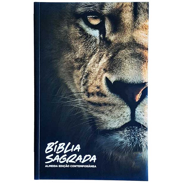 Bíblia Nvi Almeida: Onde Comprar | BuscaProdutos